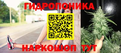 бошки Славгород